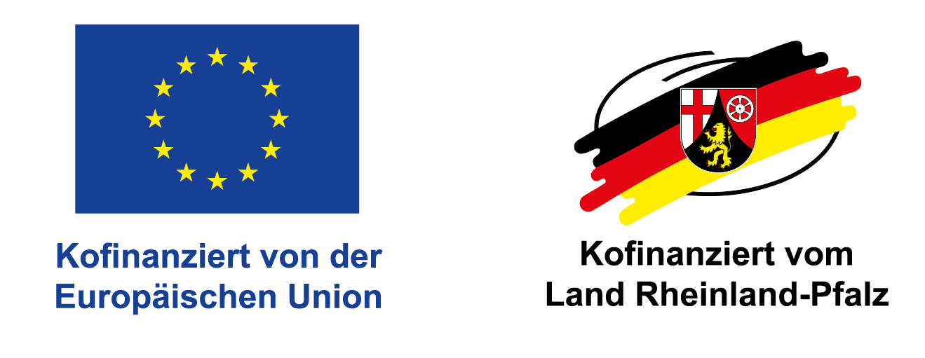 logo for financing by EU